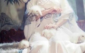 免费大型作品展：在下萝莉控ii和她的魔王路易九世大合影！